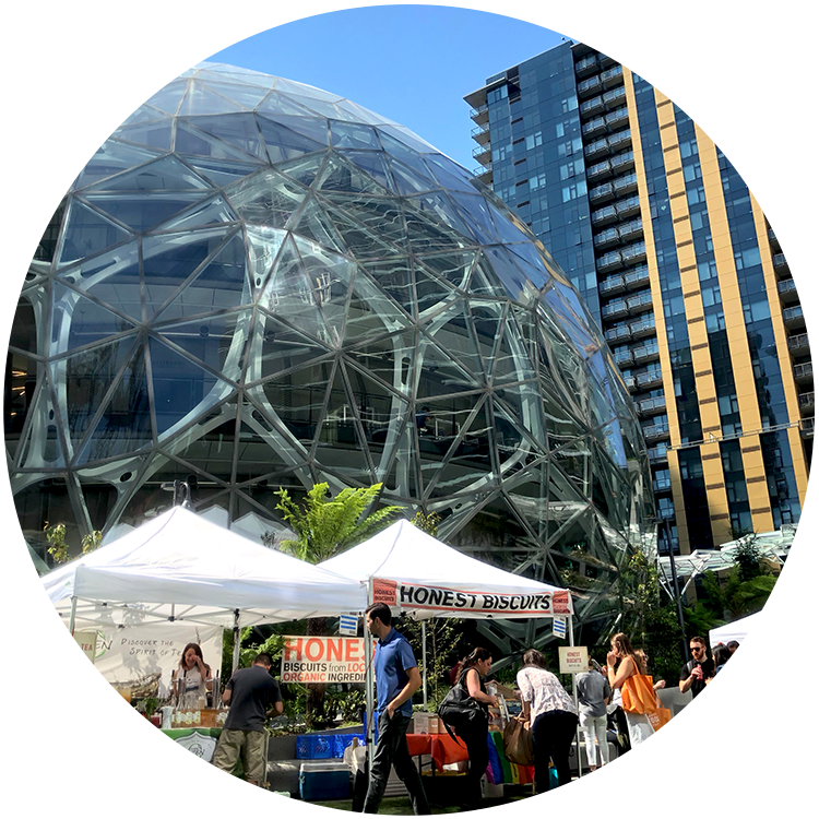 seattleDome seattleDome
